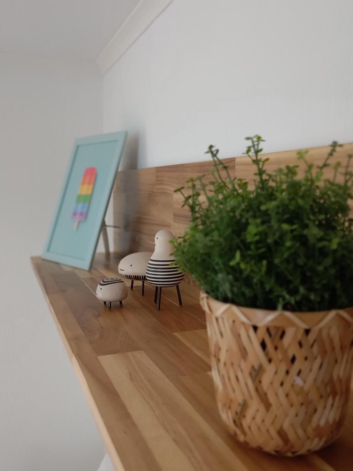 Appartementen Dorp & Duin Egmond aan Zee Bagian luar foto